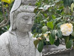 -福州开元寺