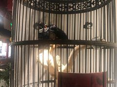 -清真·京华源铜锅涮肉(丰庆店)