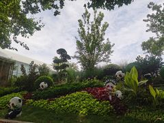 -西安电影制片厂