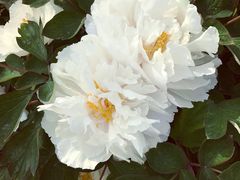 -苏州河梦清园环保主题公园