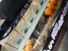 -猫的魔法密林(衣裳街店)