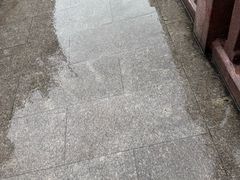 -豫园湖心亭茶楼