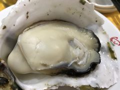-蚝专家(北滘店)