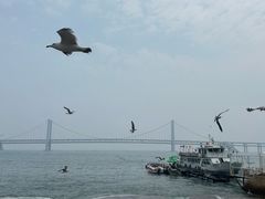 -星海广场