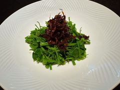 鸡枞菌拌辣木苗-醉东Oriental House(静安嘉里中心店)