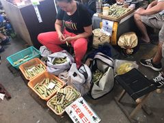 -万商花鸟市场