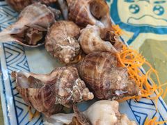 白灼小海螺-桥东喜碧海鲜街(水东街店)
