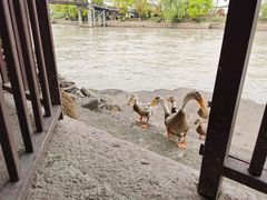 -丝绸小镇荻港古村