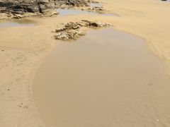 -日照海滨国家森林公园