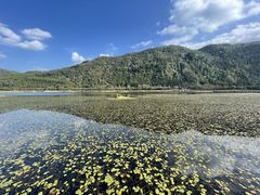 -腾冲北海湿地
