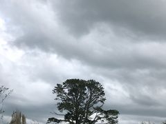-霍比特人村