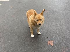 -老赵面店(大西路店)