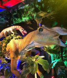 -恐龙探索乐园(磁器口店)