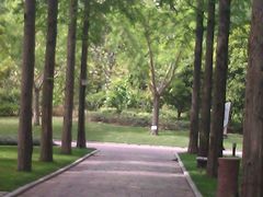 IMAG0198-上海怡沁园度假酒店