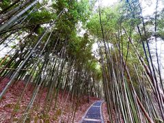 -龙头寺公园