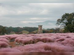 -嘉北郊野公园