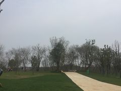 -盘龙城国家考古遗址公园