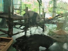 -五龙山野生动物王国