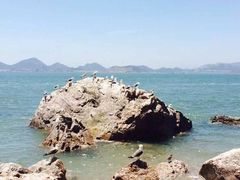 -海驴岛(荣成市)