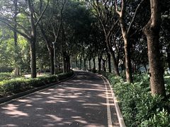 -东莞植物园
