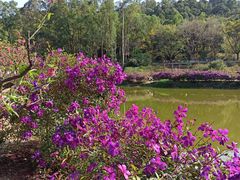 -南国桃园旅游度假区