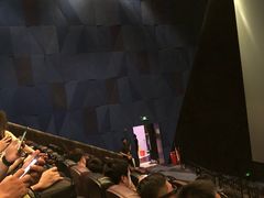 放映厅-英皇UA电影城(虹桥天地店)
