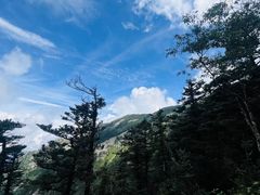 -秦岭风景区