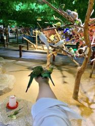 -酷嗒动物文化乐园(cutezoo西溪乐天城店)