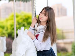 -泰盛楼顶摩天轮