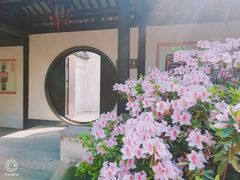 -惠山古镇·寄畅园