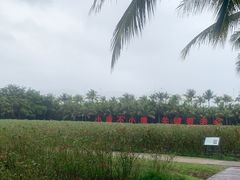 -亚龙湾国际玫瑰谷