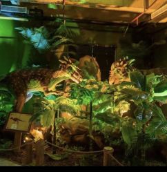 -恐龙探索乐园(磁器口店)