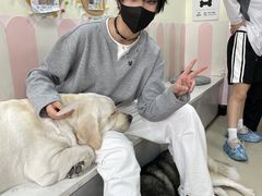 -汪说·狗咖(旺城大厦店)