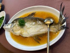 炖糟白水鱼-转角·老弄堂上海菜(长寿路店)