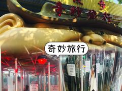 -朝阳公园游乐园