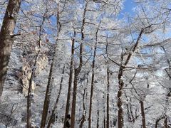 -崂山巨峰游览区