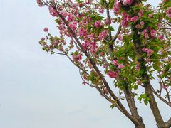 -府河摄影公园