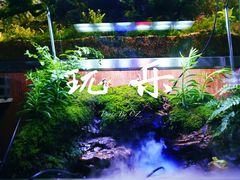 -中环花鸟鱼虫市场
