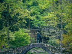 -刘伯温故里景区百丈漈
