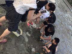 -盐洲岛