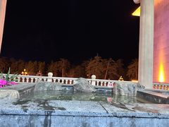 -金水鹤温泉国际酒店