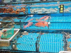 -渔人湾码头海鲜市场负二楼