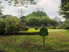 -晓港公园