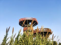 -芒洲湿地公园