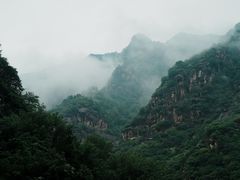 -王顺山国家森林公园