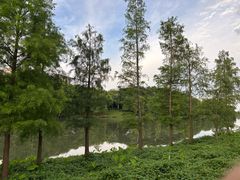 -怡海公园(桂城街道)