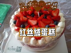-维尔纳斯·生日蛋糕·动物奶油冰淇淋蛋糕(六里桥店)