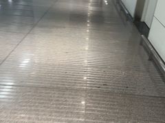 -青岛胶东国际机场