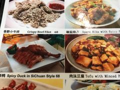 菜单-绿野餐厅(上海动物园店)