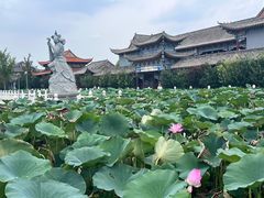 -大悲禅寺